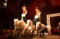 /album/bravissimo-program-2011/a188812-119211241486342-100001923997625-135458-7307477-n-jpg/