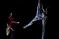 /album/bravissimo-program-2011/a311109-170707496336716-100001923997625-333053-6875124-n-jpg/