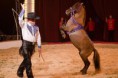 /album/bravissimo-program-2011/a311878-170705896336876-100001923997625-333014-5218975-n-jpg/