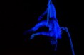 /album/bravissimo-program-2011/a312546-170704839670315-100001923997625-332985-2770444-n-jpg/