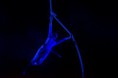 /album/bravissimo-program-2011/a315555-170704999670299-100001923997625-332992-5833874-n-jpg/