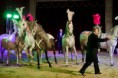 /album/bravissimo-program-2011/a315995-170704543003678-100001923997625-332976-3571849-n-jpg/