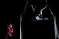 /album/bravissimo-program-2011/a321433-170707436336722-100001923997625-333051-6980408-n-jpg/